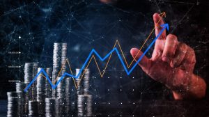 Profit Potential and Return on Investment